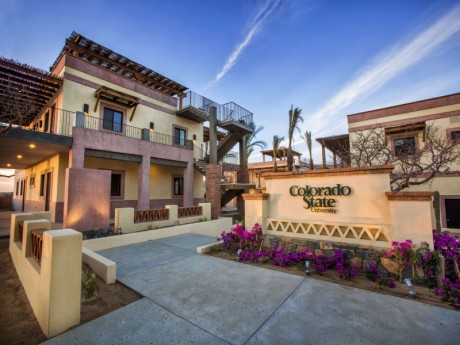 TODOS SANTOS CENTER
