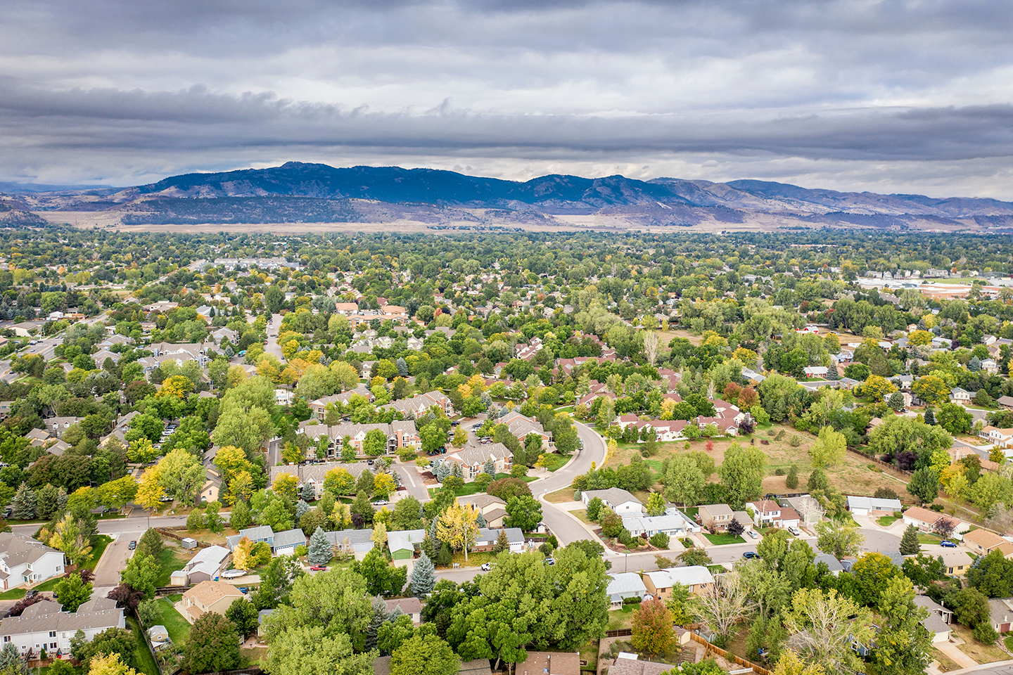 Fort Collins Connexion